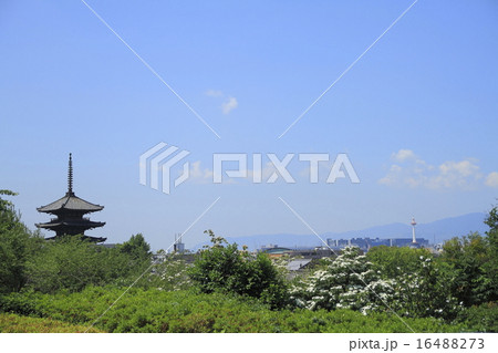 京都 16488273