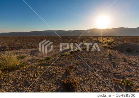 Negev desert landscape 16488500