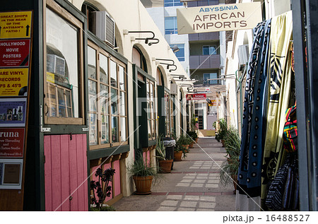 ハリウッド ハリウッド 16488527