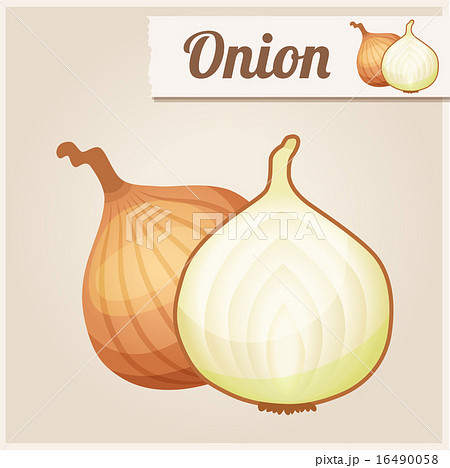 Detailed Icon. Onion. Detailed Icon. Onion. 16490058