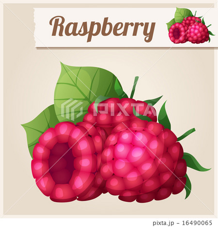 Detailed Icon. Raspberry. 16490065