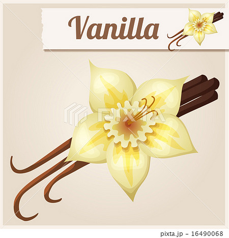 Vanilla. Detailed Vector Icon 16490068