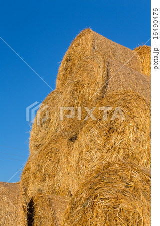 Piled hay bales on a field against blue sky 16490476