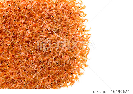 干しエビ 16490624