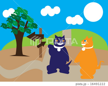 道標を選ぶ猫 16491222
