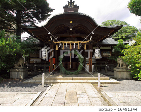 熊野神社　茅の輪 16491344