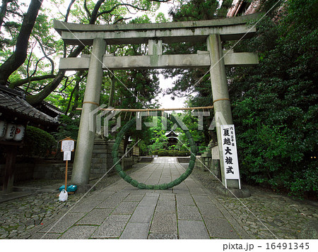 岡崎神社　茅の輪 16491345