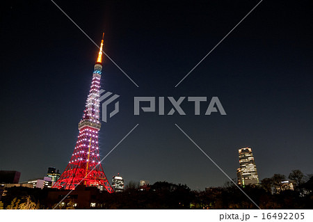 夜の東京タワー 16492205