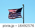 USA Flag 16492576