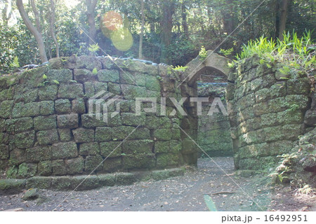 寺山炭窯跡（世界文化遺産） 16492951