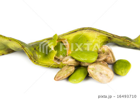 Petai seeds with skin, seed pods and cluster Petai seeds with skin, seed pods and cluster 16493710