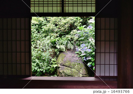 三渓園　聴秋閣（横浜市） 16493766