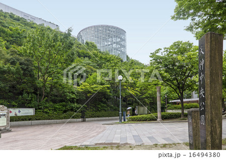 天神中央公園 天神中央公園 16494380