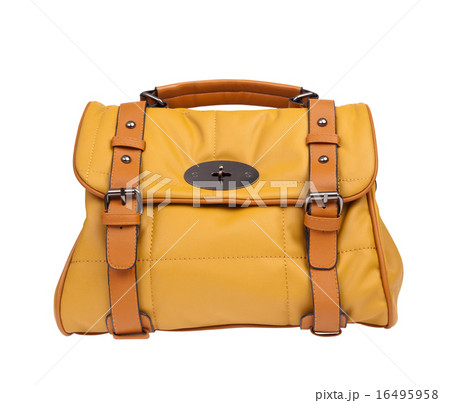 woman handbag woman handbag 16495958
