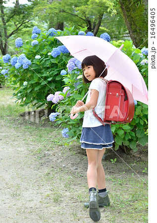 傘をさす小学生の女の子 梅雨 の写真素材 傘をさす小学生の女の子 梅雨 の写真素材