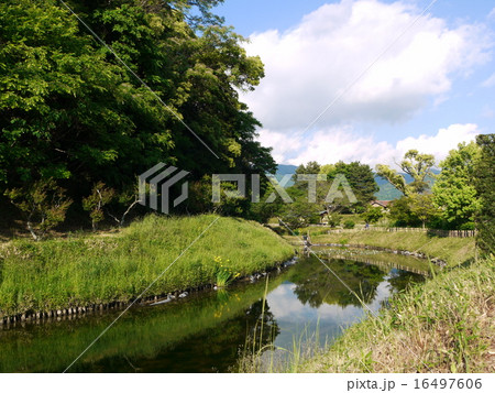 湯築城跡 16497606