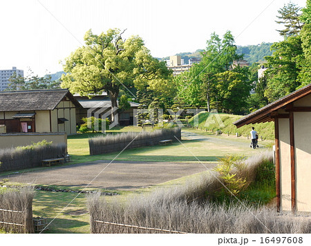湯築城跡 湯築城跡 16497608