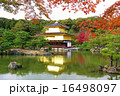 金閣寺 金閣寺 16498097