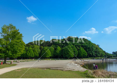 松戸市21世紀の森と広場 松戸市21世紀の森と広場 16498434