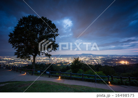 若草山からの夜景 16498575