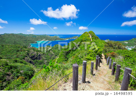 父島 旭山からの眺望 16498595