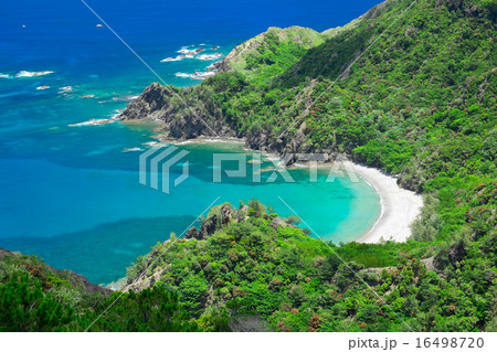 父島 初寝浦 16498720