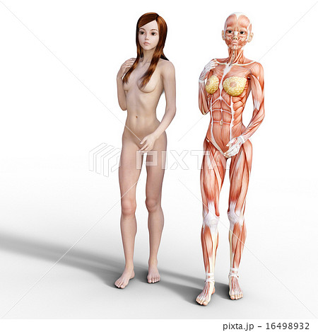 T-bodybuiding - nude photos