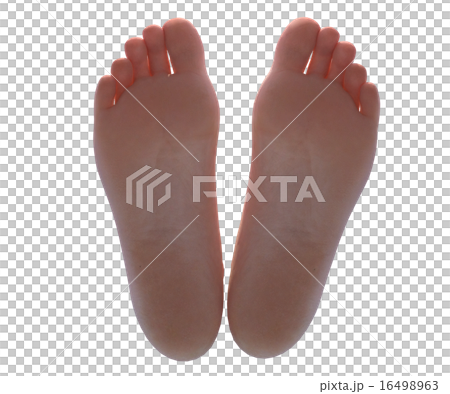 女性の素足　ボディーパーツ　perming 3DCG イラスト素材 16498963