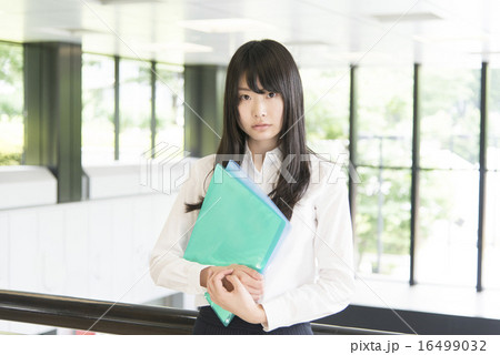 クールビズの女性 16499032