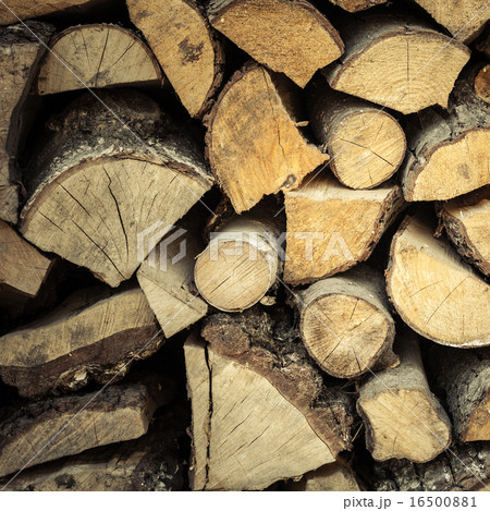 Closeup of firewood as background texture 16500881