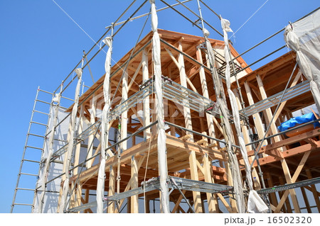 建築中の一戸建て 建築中の一戸建て 16502320