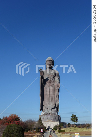 茨城県　牛久大仏 16502504