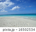 夏　南国サイパン 16502534