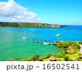 沖縄の海 16502541