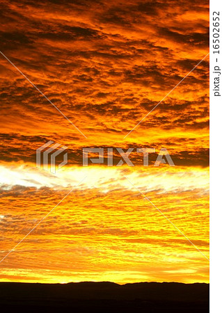 南米チリ北部アンデス山脈、アタカマ高地の美しい夕景 16502652