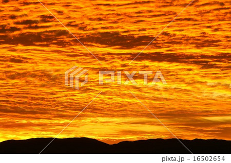 南米チリ北部アンデスの高地、アタカマ砂漠の美しい夕景 南米チリ北部アンデスの高地、アタカマ砂漠の美しい夕景 16502654