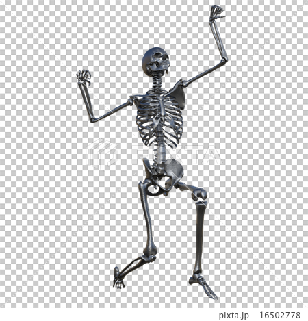 skeleton skeleton 16502778