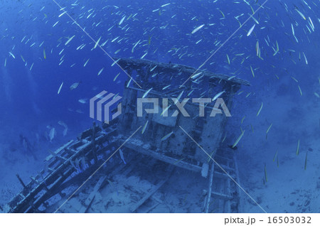 沈潜 沈潜 16503032