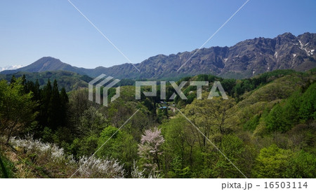 戸隠西岳と一夜山の春 16503114