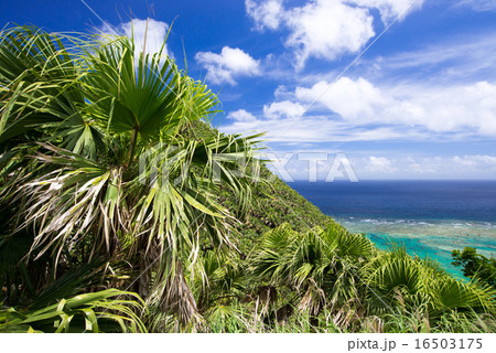 沖縄の風景・伊平屋島・久葉山からの眺め 16503175