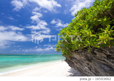 沖縄のビーチ・ジューマ海岸・野甫島 沖縄のビーチ・ジューマ海岸・野甫島 16503662