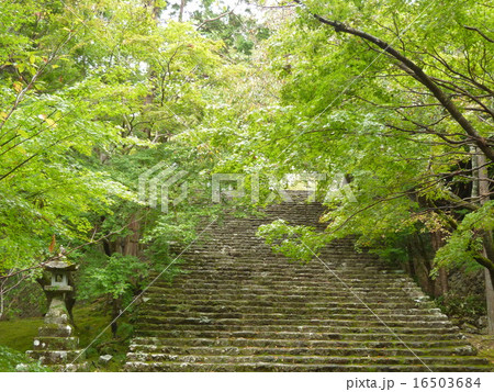 四国霊場第31番札所 竹林寺 16503684