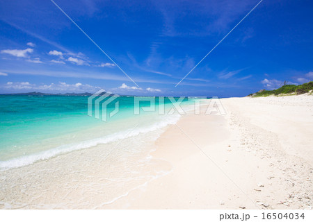 沖縄のビーチ・野甫島 沖縄のビーチ・野甫島 16504034