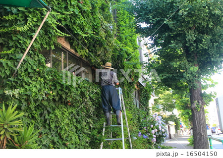 庭師の画像 庭師の画像 16504150