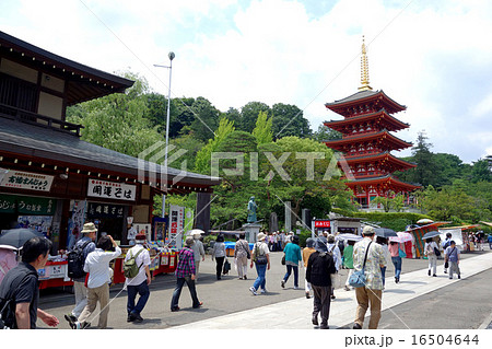 高幡不動尊(境内) 高幡不動尊(境内) 16504644
