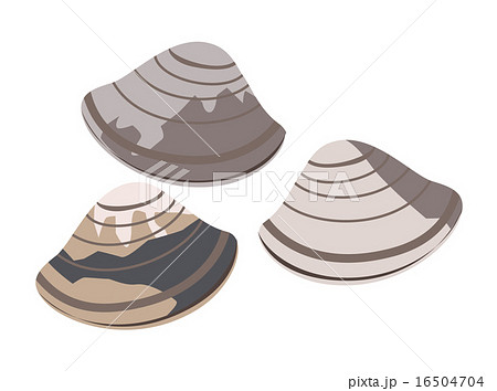 あさり あさり 16504704