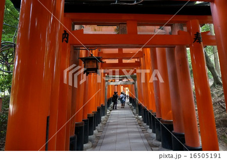 京都伏見稲荷神社の千本鳥居 16505191