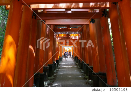 京都伏見稲荷神社の千本鳥居 京都伏見稲荷神社の千本鳥居 16505193