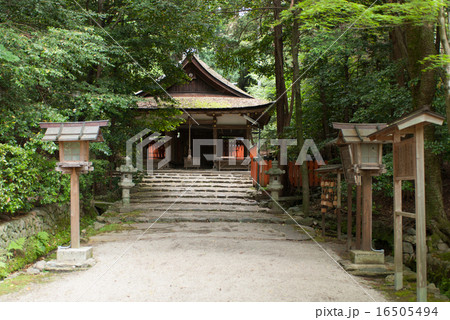 大田神社　拝殿 16505494