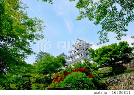 郡上八幡城 (60) 16506811